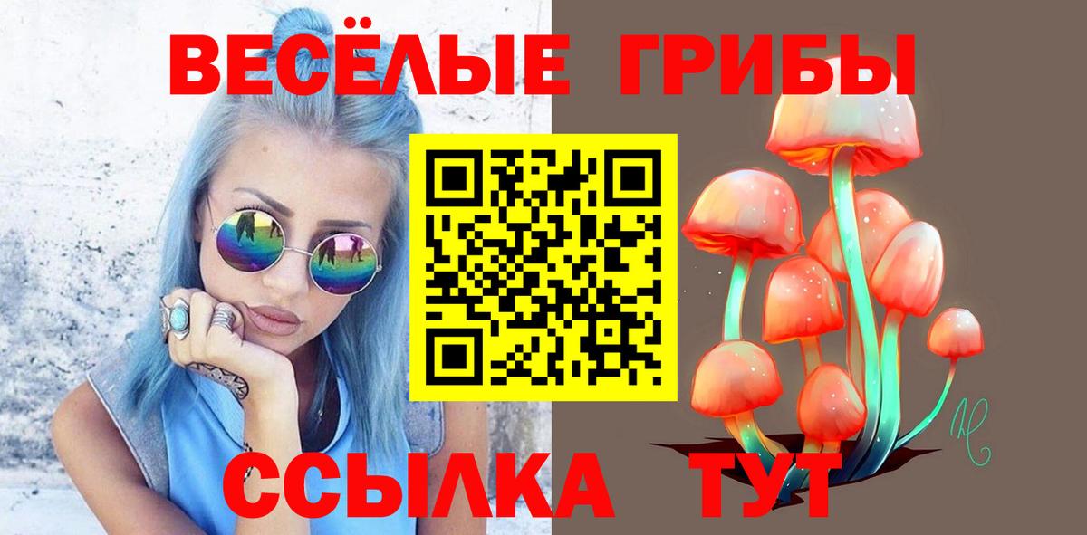 Псилоцибиновые грибы GOLDEN TEACHER  Галлюциногенные грибы MAGIC MUSHROOMS  Вход с VPN  Заводоуковск 